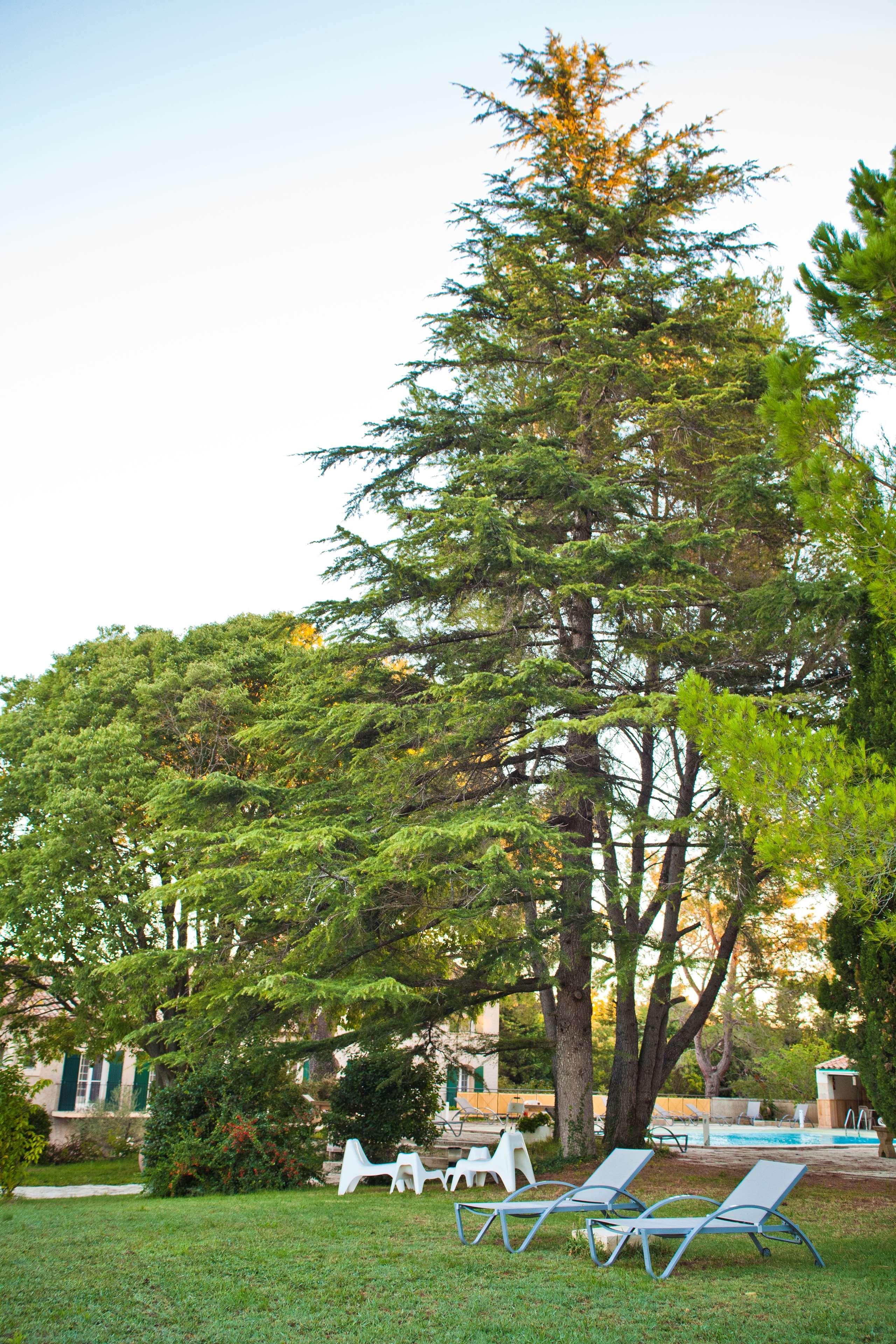 Best Western Le Val Majour Fontvieille Exterior photo